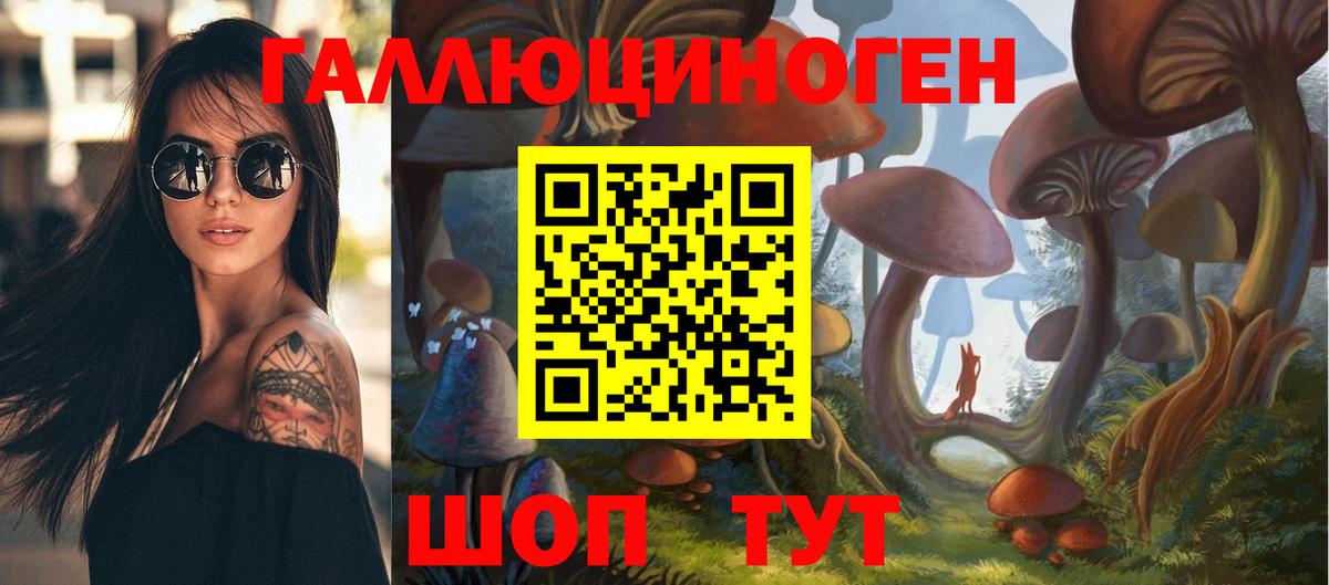Горно-Алтайск  Галлюциногенные грибы ЛСД  даркнет сайт  Вход с VPN 